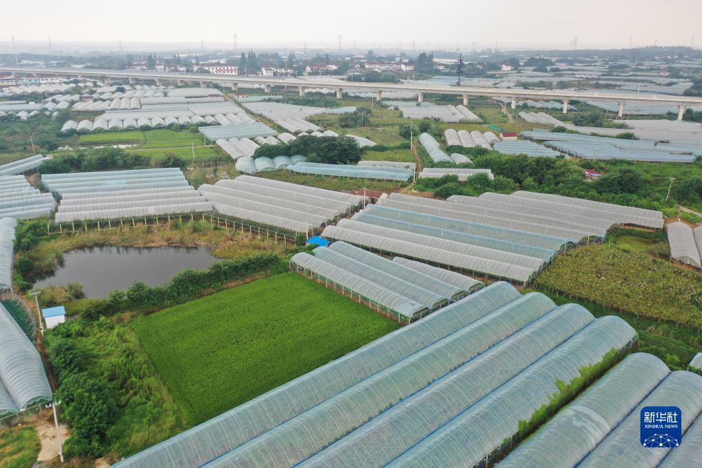 其乐游戏平台官网